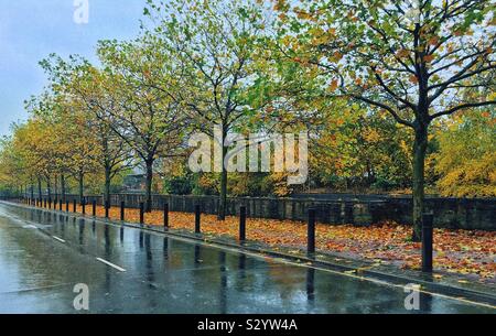 Rain in Autumn Stock Photo