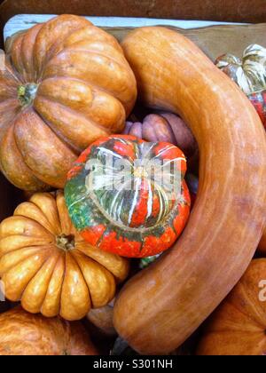 Sale of organic cucurbits in a shop Stock Photo