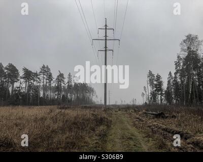 Power line among a field and a forest. Pathway to nowhere.