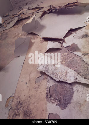 Wallpaper paint and plaster peeling from a wall.  DIY and decorating Stock Photo