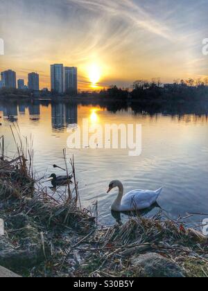 Sunset over Grenadier Pond in High Park, Toronto, Canada. Stock Photo