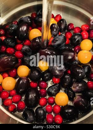 Grapes, cranberries and physalis being washed under tap water. Stock Photo