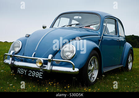 A vintage classic baby blue and chrome Volkswagen Beetle, VDub Bug in a grass covered field Stock Photo