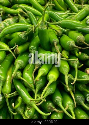 Fresh green Serrano chili peppers, capsicum annuum Stock Photo