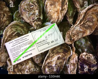 Oysters on market stall with certificate of freshness, France. Stock Photo