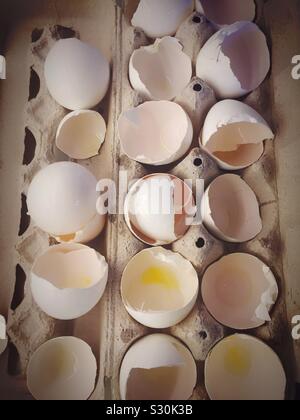 Egg shells in a cardboard carton close up Stock Photo