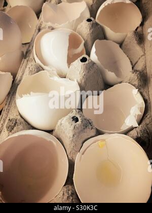 Egg shells in a cardboard carton close up Stock Photo