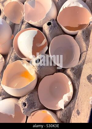 Close up of a carton of Egg shells, Stock Photo