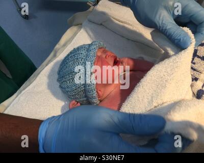A newborn baby only minutes old Stock Photo