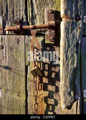 Old rusty bolt, lock and chain on barn door. Stock Photo