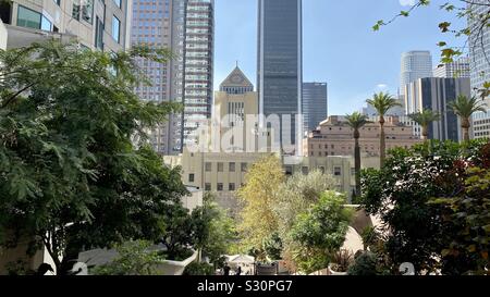 LOS ANGELES, CA, NOV 2019: central branch of Los Angeles Public Library surrounded by skyscrapers in Downtown, seen through trees next to the US Bank Tower Stock Photo