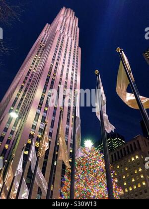 The iconic Christmas tree in Rockefeller Center is at the base of 30 rock skyscraper, NYC, USA Stock Photo