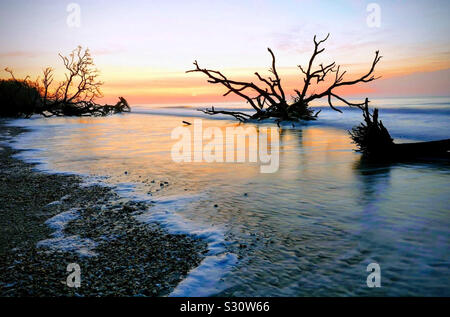 Sunrise on boneyard beach in South Carolina Stock Photo