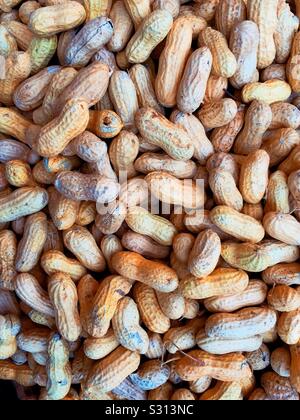 Flat lay of a bin of unshelled fresh peanuts Stock Photo