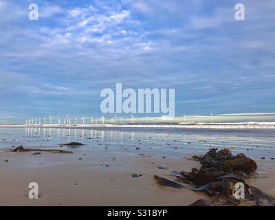 Offshore wind farm in the North Sea off the coast of Redcar. Kelp rests on the beach as the tide rolls in. Stock Photo