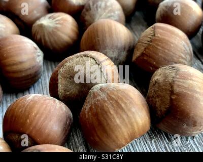 Hazelnuts on a wooden surface Stock Photo