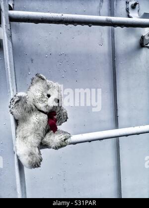 Dirty teddy bear on rung of wet roof escape ladder, Sweden Stock Photo