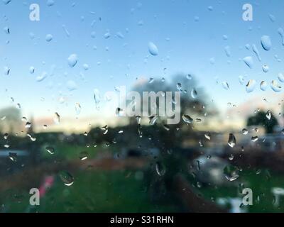 Looking out through a window covered with raindrops early in the morning. Stock Photo