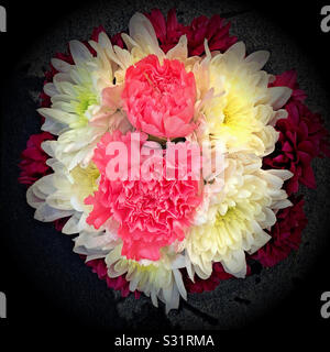 A posy of pink carnations and white chrysanthemums Stock Photo