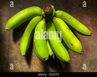 Green cavendish bananas on the ground. Stock Photo