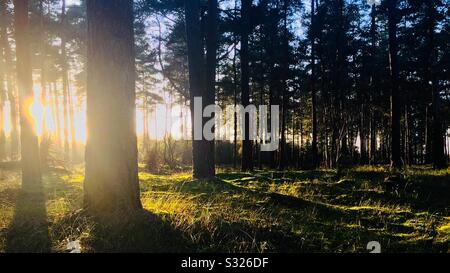 Winter sun in Suffolk Stock Photo