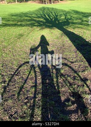 Long Shadow of female cyclist and shadow of tree on green grass at Crystal a palace park Stock Photo