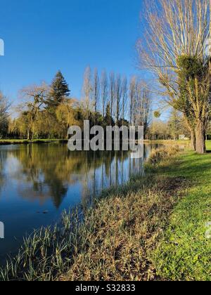 Reflection of Poplar trees in small lake Stock Photo - Alamy