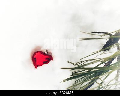 A lone red heart shaped Christmas ornament fallen into the snow next to a pine tree on a cold winter day. Stock Photo