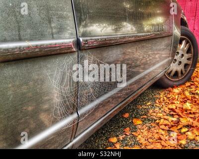 Tree reflection and spider web on side of car in autumn Stock Photo