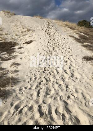 Footprints on a sand dune at Crane Beach in Ipswich, Massachusetts, USA. Stock Photo