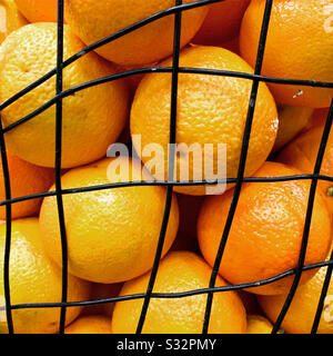 Basket of oranges. Stock Photo