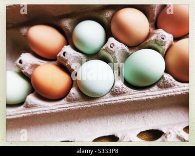 Natural colored eggs from farm Stock Photo