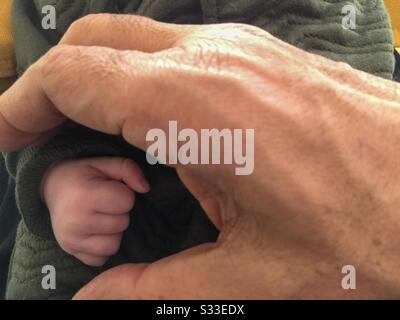 Old hand Young hand. Genetic connection. Two generations apart. Sheltering. Protective. Protecting. Flesh of my flesh. Bone of my bone. Stock Photo