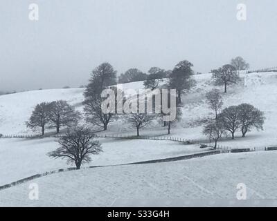 UK Weather Monday 24th February - Snow in North Yorkshire Stock Photo