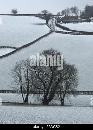UK North Yorkshire, 24th February 2020, Weather - Snow in North Yorkshire across farmland Stock Photo