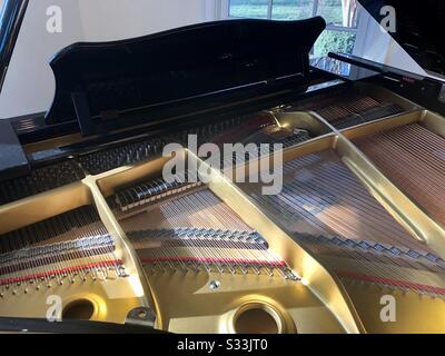 Pianoforte a coda, vista frontale Foto stock - AlamyPianoforte a coda, vista frontale Foto stock - Alamy  