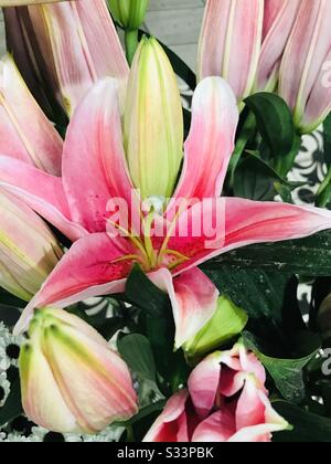 Pink asiatic lily along with buds In basket, Lilium Marco Polo stigma style stamens filaments & tepal  - close up pic- fairy Lilly , rain flower, zephyr lily, magic lily at florist shop in singapore