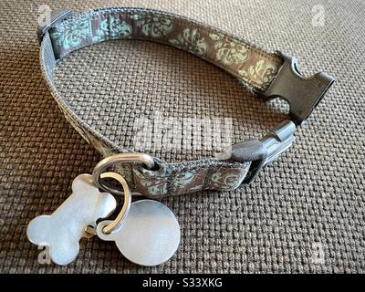 Worn dog collar and dog tags Stock Photo