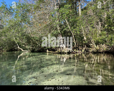 Weeki Wachee Springs State Park, Florida Stock Photo