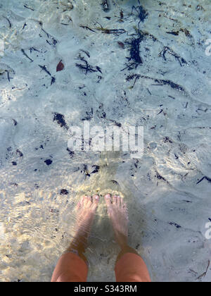 Feet in clear water of the Weeki Wachee Springs State Park, Florida Stock Photo