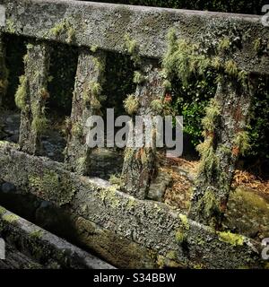 Lichen grows on a garden bench, Blue Mountains, NSW, Australia Stock Photo