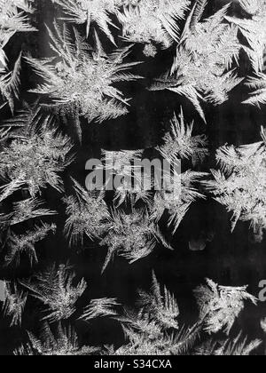 Frosty patterns on a window on a sub-zero morning in Calgary, Alberta, Canada. March 2020. Stock Photo