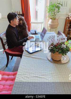 Working From Home Stock Photo