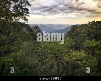 Late afternoon light over the Jamison Valley, Blue Mountains National Park, NSW, Australia Stock Photo