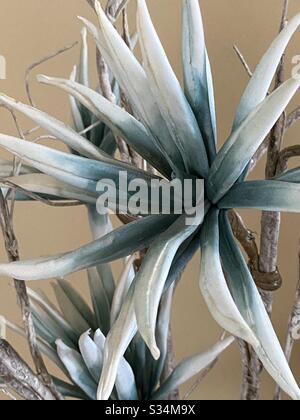 Dried, lily flowers Stock Photo - Alamy