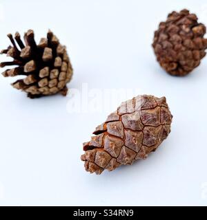 Selective focus view of a closed pine cone on a white surface. With open conifer cones in background Stock Photo