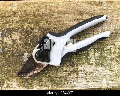 A pair of secateurs on an old, weathered wooden table. Stock Photo