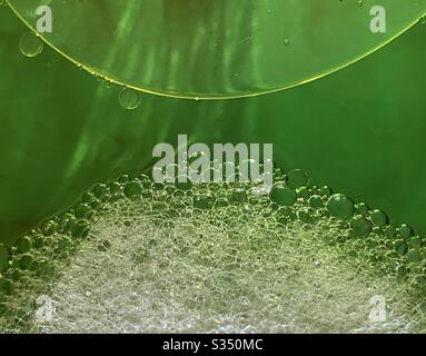 Abstract background of soap bubbles, half circle oil droplet on green water Stock Photo