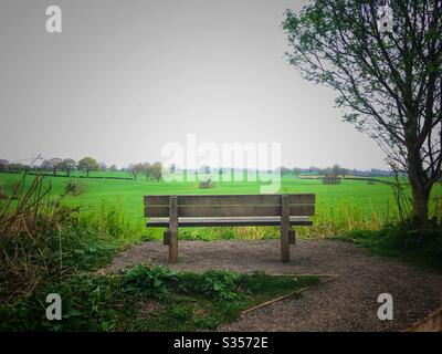 Empty bench in the Cheshire countryside Uk Stock Photo