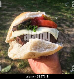 Homemade cheeseburger Stock Photo